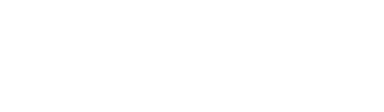 Sinetcom Logo